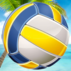 Tips Volley-ball 3D 圖標