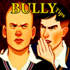 Tips Bully Anniversary Edition 아이콘