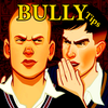 Tips Bully Anniversary Edition Zeichen