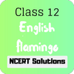 Class 12 English Flamingo NCERT Solutions