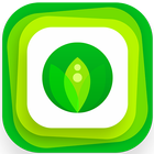 AppGrOnline icon