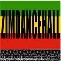 Zimdancehall.com