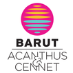 Barut Acanthus & Cennet