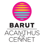 Barut Acanthus & Cennet ícone