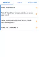 Selenium Interview screenshot 2