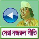 সেরা নজরুল গীতি APK