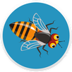 Kill Bugs APK