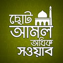 ছোট ছোট আমল | Nek Amol APK