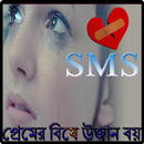 প্রেমের বিষে উজান বয় sms APK