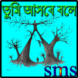 তুমি আসবে বলে,,,,,,sms أيقونة