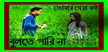 তোমার দেয়া কষ্ট বুলতে পারি না sms