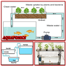 Aquaponics APK
