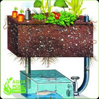 Aquaponics Gardening System poster
