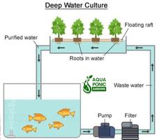 برنامه‌نما Aquaponics Gardening System عکس از صفحه