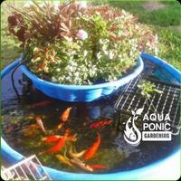 Aquaponics Gardening System syot layar 2