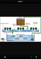 برنامه‌نما Aquaponics Ideas عکس از صفحه