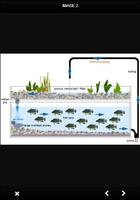 برنامه‌نما Aquaponics Ideas عکس از صفحه