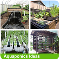 Aquaponics Ideas