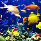آیکون‌ Aquarium Live Wallpaper