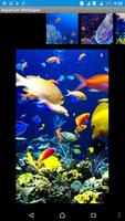 برنامه‌نما Aquarium Live Wallpaper عکس از صفحه
