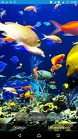 Aquarium Live Wallpaper 截圖 2