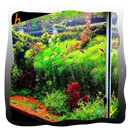 Akwarium Aquascape Design aplikacja