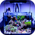 Aquarium Design