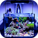 Design d'aquarium APK