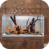 Aquarium Design