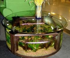 Aquarium Design ảnh chụp màn hình 1