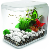 Aquarium Design Ideas