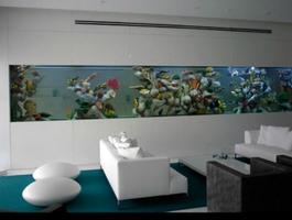 Aquarium Design Ideas capture d'écran 2