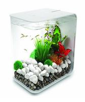 Aquarium Design Ekran Görüntüsü 1