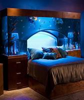 Aquarium Design Ekran Görüntüsü 2