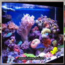 APK Aquarium Ideas