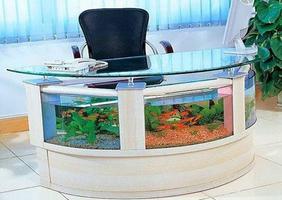 برنامه‌نما Aquarium fish عکس از صفحه