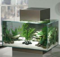 Aquarium aménagement paysager capture d'écran 2