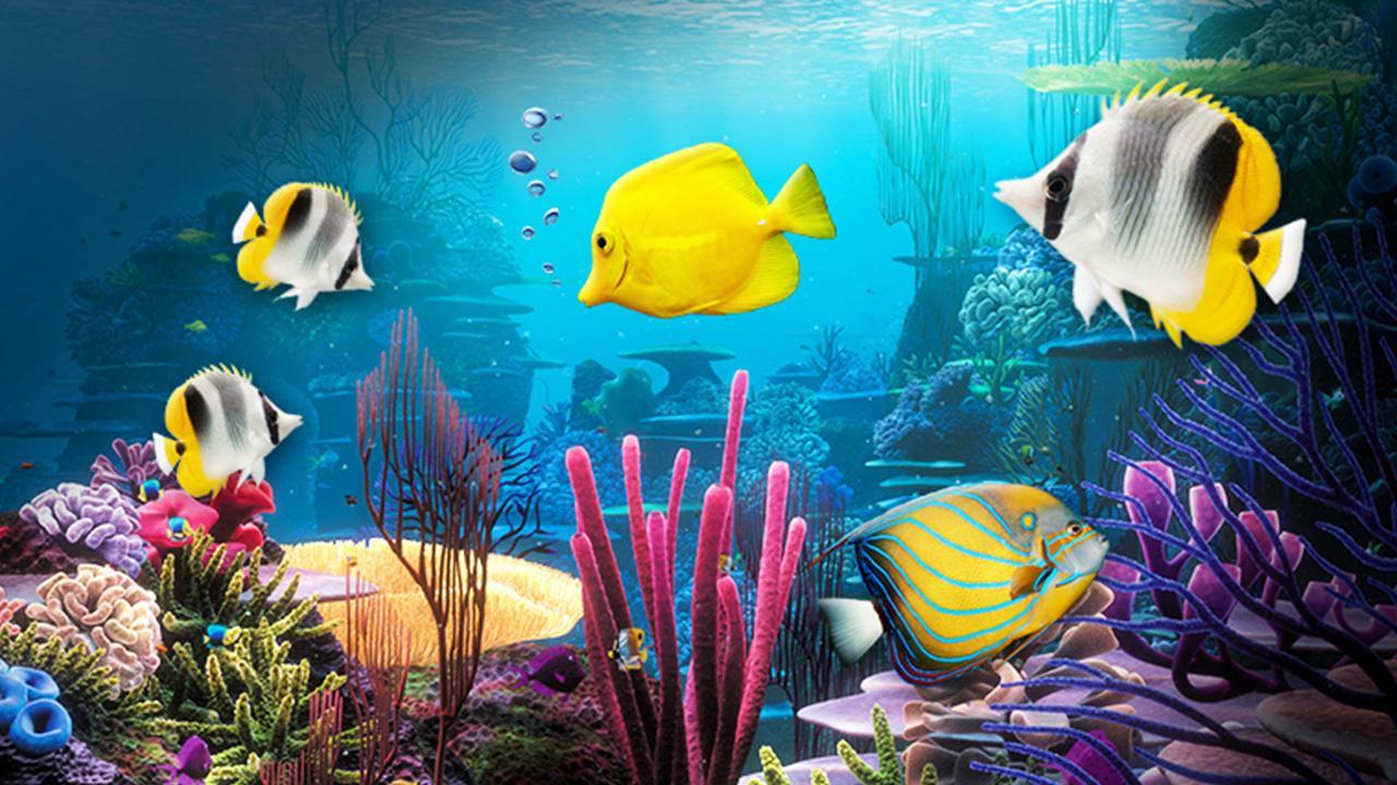 Terkeren 10 Wallpaper Animasi Aquarium  Joen Wallpaper