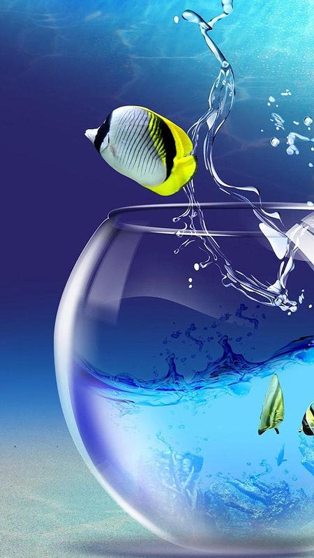 Akuarium Hidup Wallpaper   Gambar  Ikan Bergerak  APK 