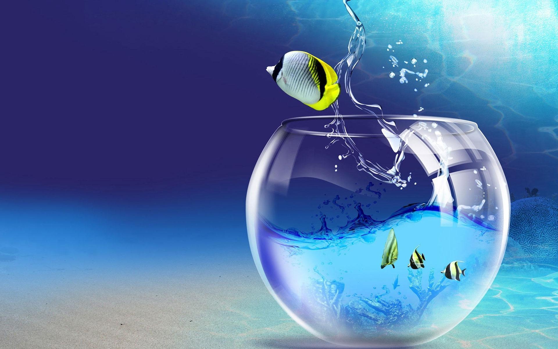 Fondos De Pantalla Acuario Peces En Movimiento For Android Apk Download