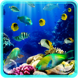 Aquarien Live-Hintergrund