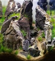 Aquascape โปสเตอร์