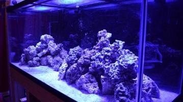 Aquascape ภาพหน้าจอ 2