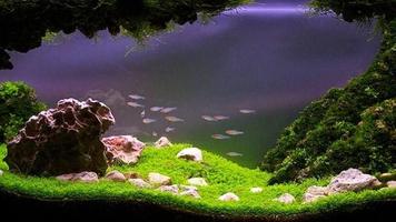 3 Schermata Aquascape