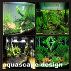 Aquascape design icône