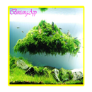 APK Aquascape Acquario design