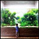 Aquascape Design APK