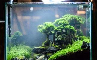 Aquascape Design اسکرین شاٹ 1