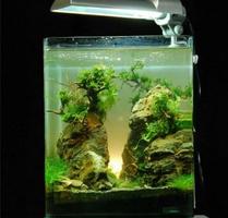 برنامه‌نما Aquascape Design عکس از صفحه