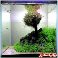 Aquascape Design Affiche